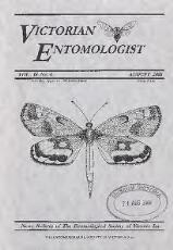 Thumbnail - Victorian entomologist.