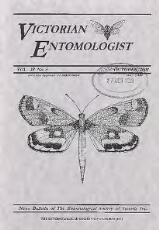 Thumbnail - Victorian entomologist.