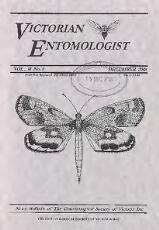 Thumbnail - Victorian entomologist.