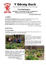 Thumbnail - Y Ddraig Goch : The Red Dragon.