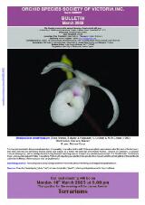 Thumbnail - Newsletter