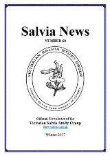 Thumbnail - Salvia news : official newsletter of the Victorian Salvia Study Group