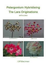 Thumbnail - Pelargonium hybridising : the Lara Originations 1970 to 2012