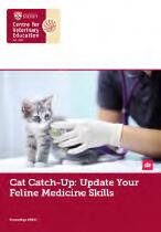 Cat catch-up : update your feline medicine skills.