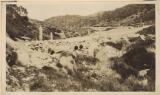 Thumbnail - Pipe and stone crossing in the Snowy Mountains region [2] [picture]