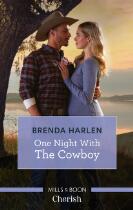 One night with the cowboy