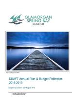 Annual plan [electronic resource]