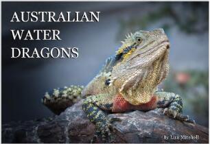 Australian Water Dragons