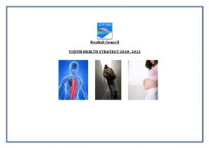 Youth health strategy 2010 - 2013 [electronic resource]