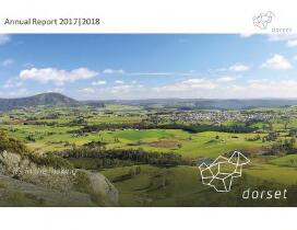 Annual report [electronic resource]