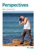 Perspectives : a year in review