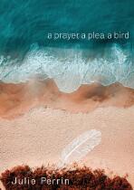 A prayer, a plea, a bird
