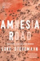 Amnesia road : landscape, violence and memory