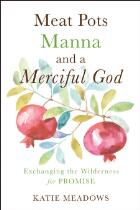 Meat pots, Manna, and a merciful God : exchanging the wilderness for promise