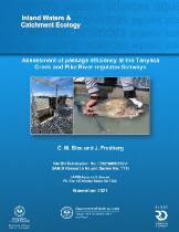 Assessment of passage efficiency at the Tanyaca Creek and Pike River regulator fishways