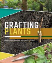 Grafting plants