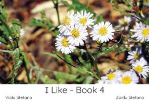 I like. Book 4