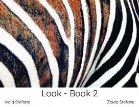 Look : book 2