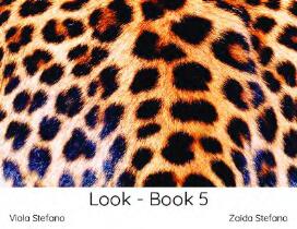 Look. book 5