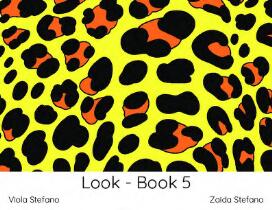 Look. book 5 : VI