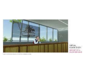 Virtual court study : report of a pilot test 2018