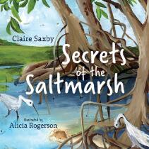 Secrets of the Saltmarsh