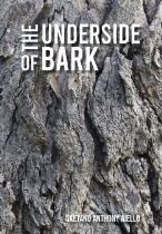 The underside of bark