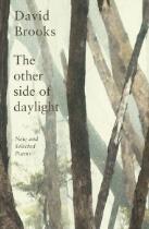 The other side of daylight : new and selected poems