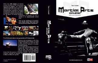Martial Arts Explained : to the heart of martial art