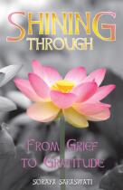 Shining through : from grief to gratitude