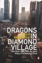 Dragons in diamond village : and other tales from the back alleys of urbanising China