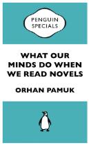 What our minds do when we read novels