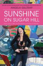 Sunshine on Sugar Hill: Life and Love in New York.